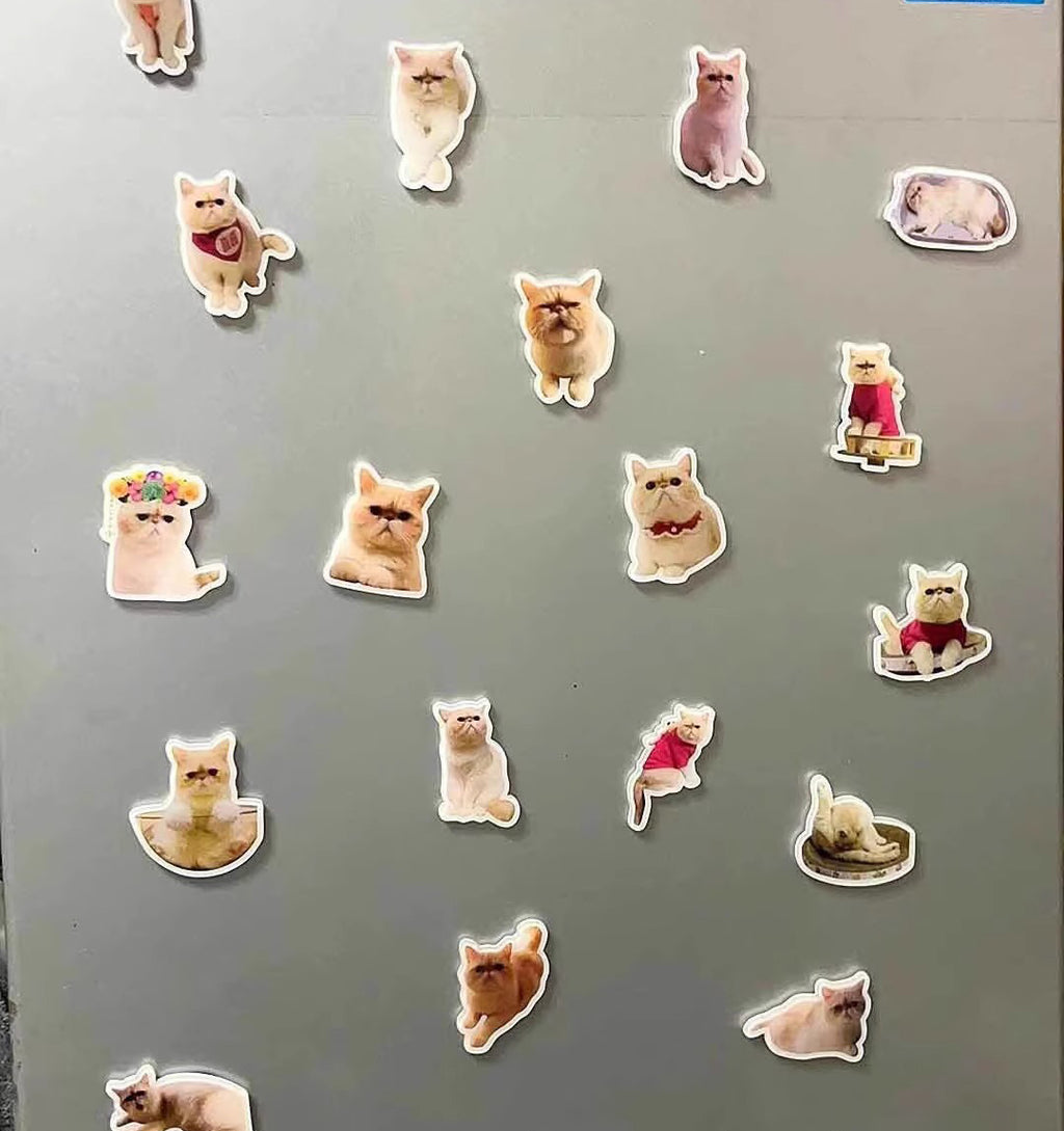 Magnetic Fridge Magnet