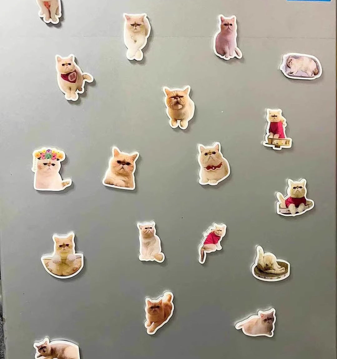 Magnetic Fridge Magnet