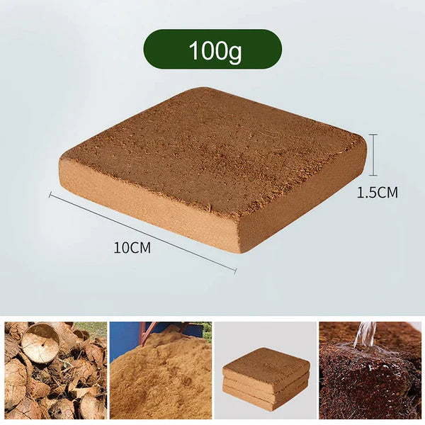 Organic Coconut Coir For Plants