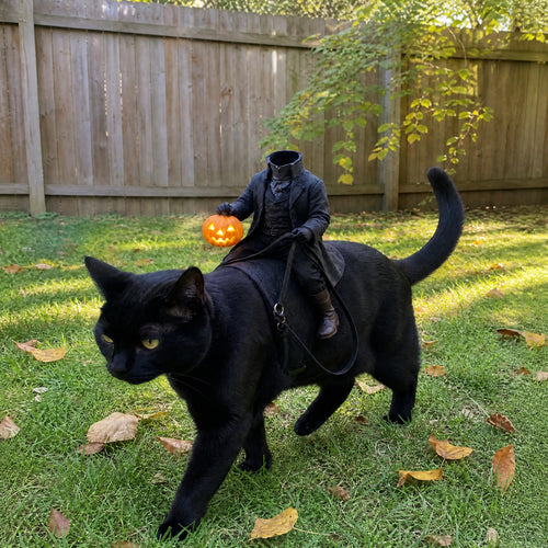 Headless Horseman Pet Costume