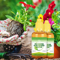 Fast Rooting Plant Nutrient Solution✨Summer Specials 50% OFF✨
