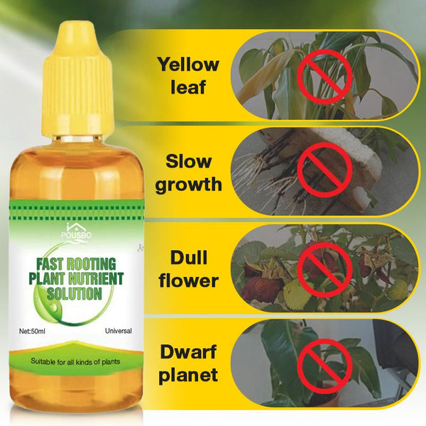 Fast Rooting Plant Nutrient Solution✨Summer Specials 50% OFF✨