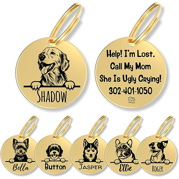 Metal Pendant Pet Engraving Keychain