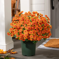 Artificial Outdoor Sunset Mums Flowers