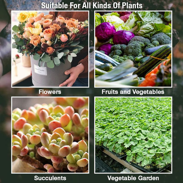 Fast Rooting Plant Nutrient Solution✨Summer Specials 50% OFF✨