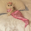 Mermaid Cat Costume