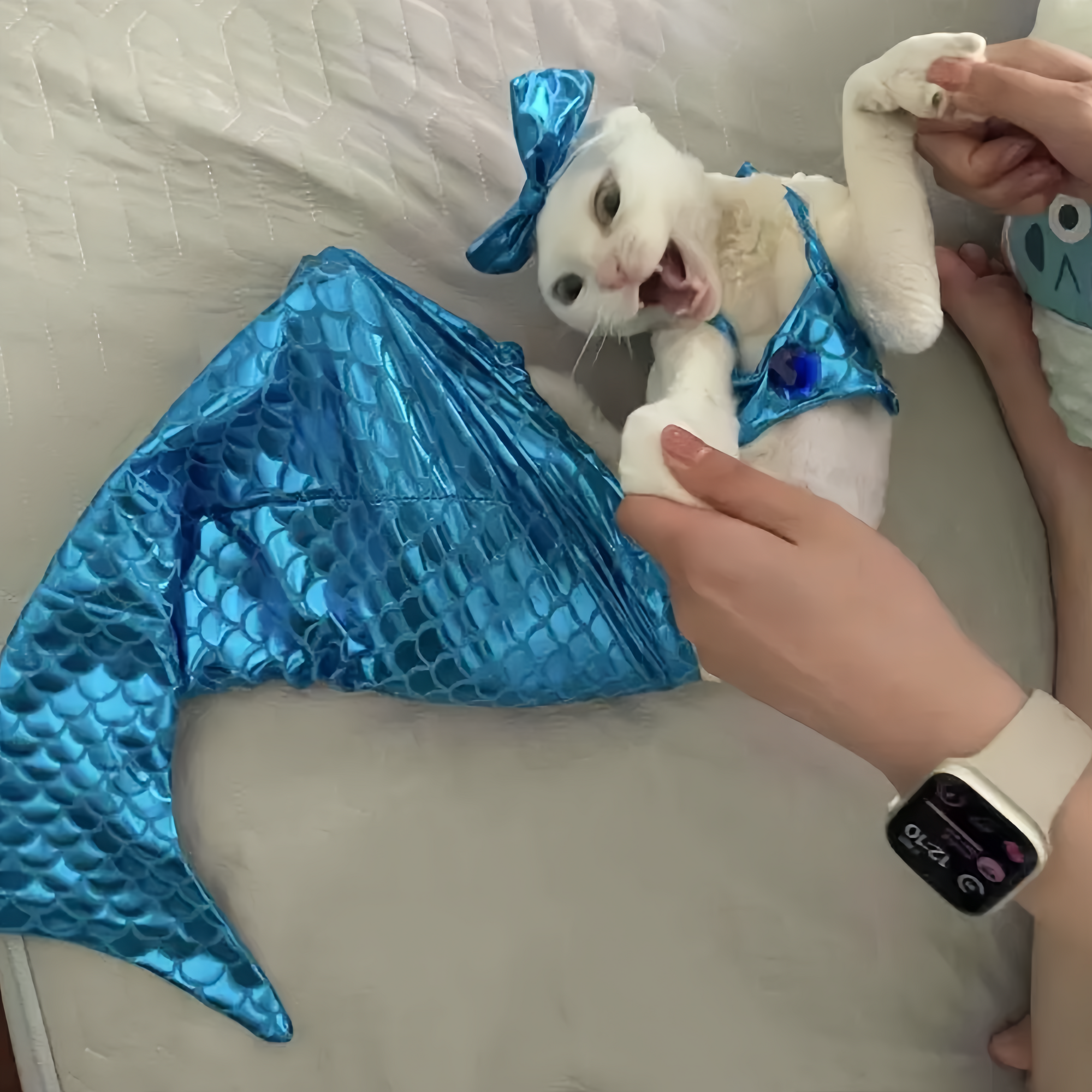 Mermaid Cat Costume