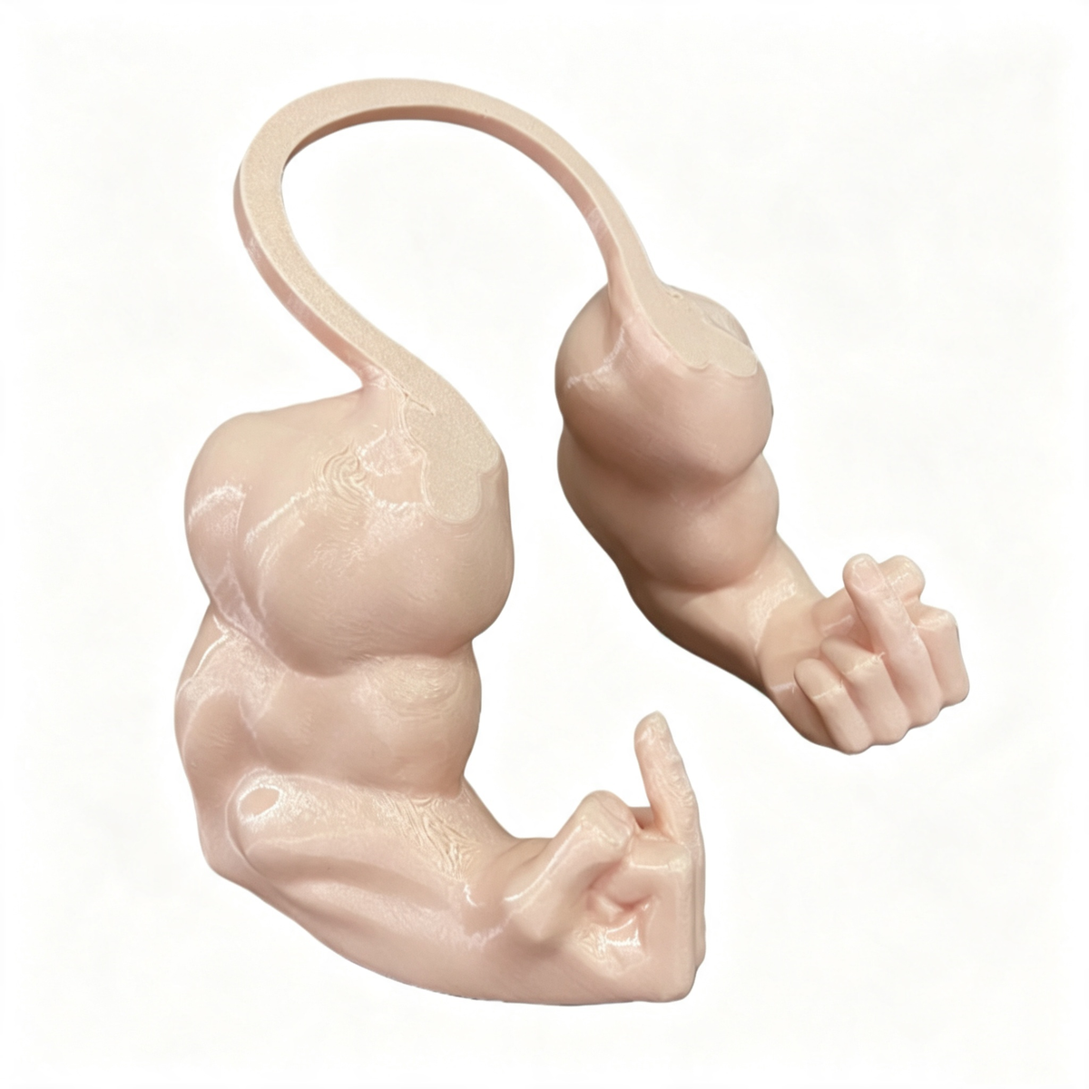 3D Printed Pet Muscle Arm Toy
