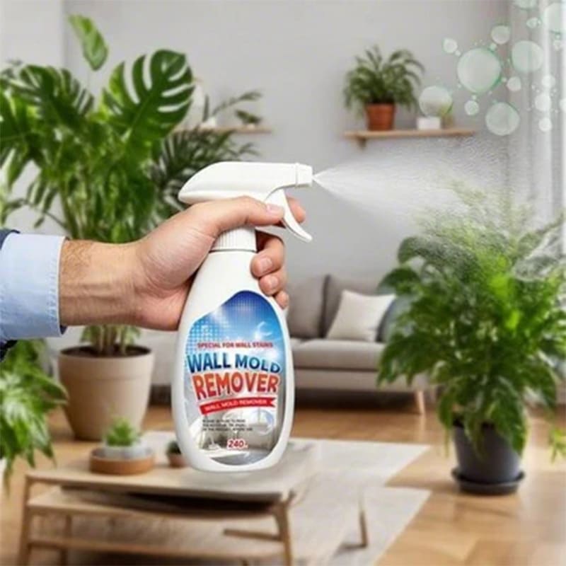 Wall mold remover