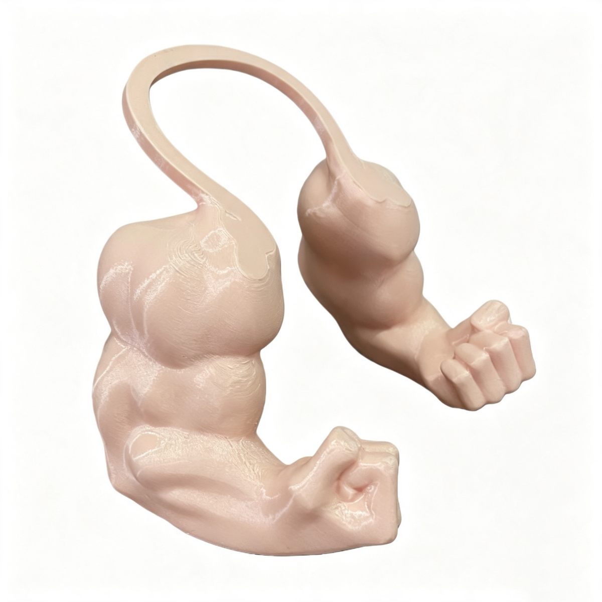 3D Printed Pet Muscle Arm Toy