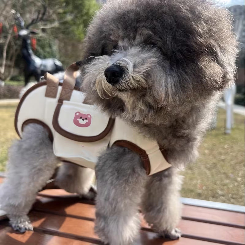 Portable, Breathable Crossbody Pet Carrier