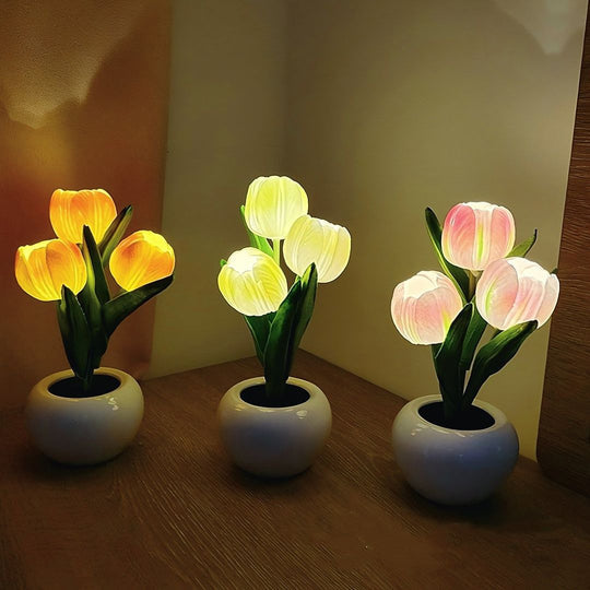 Tulip Nightlight