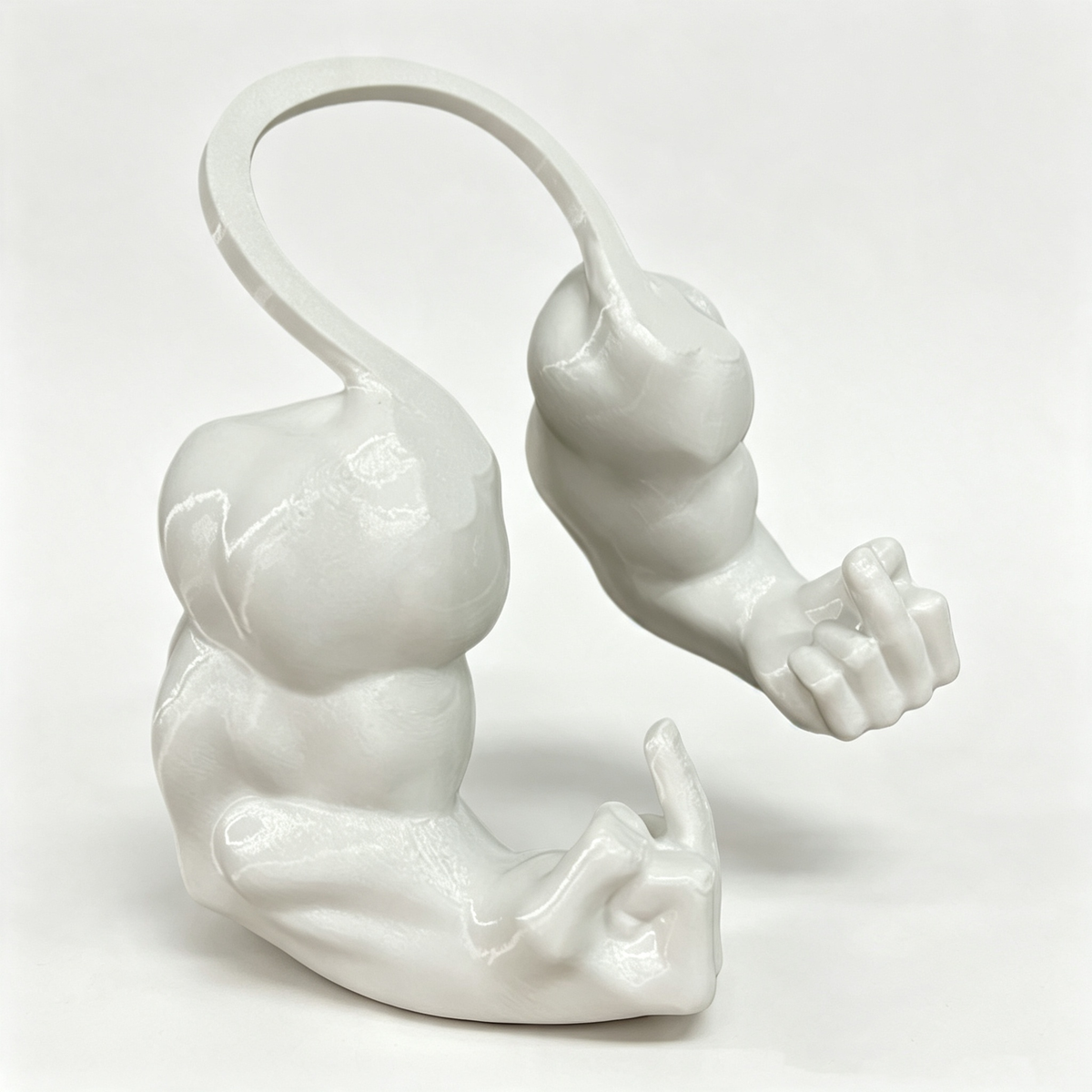 3D Printed Pet Muscle Arm Toy