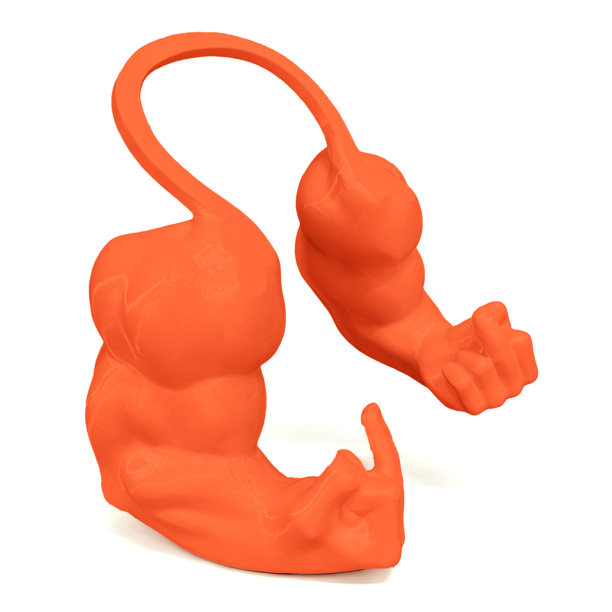 3D Printed Pet Muscle Arm Toy