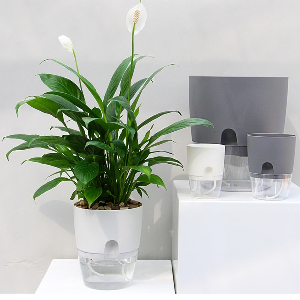 Self Watering Planter