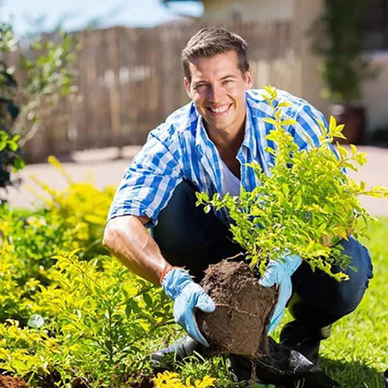 Soil Activator