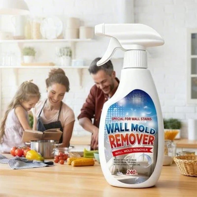 Wall mold remover