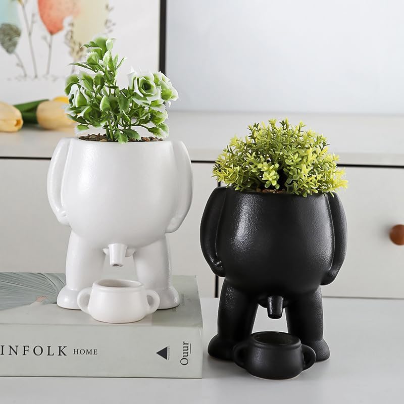 Mini garden plant pot