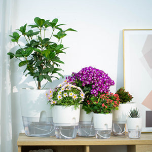 Self Watering Planter