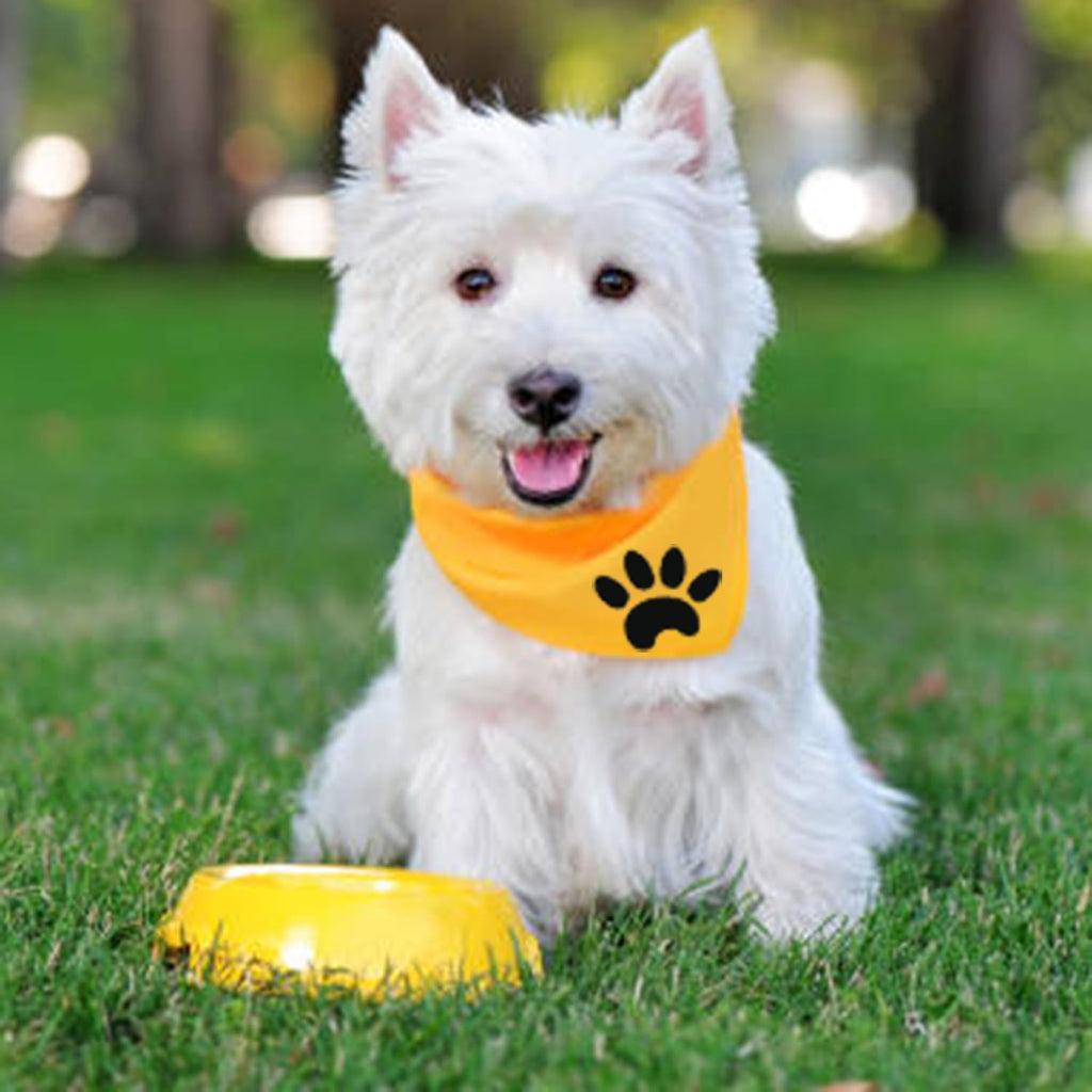 Custom Pet Bibs