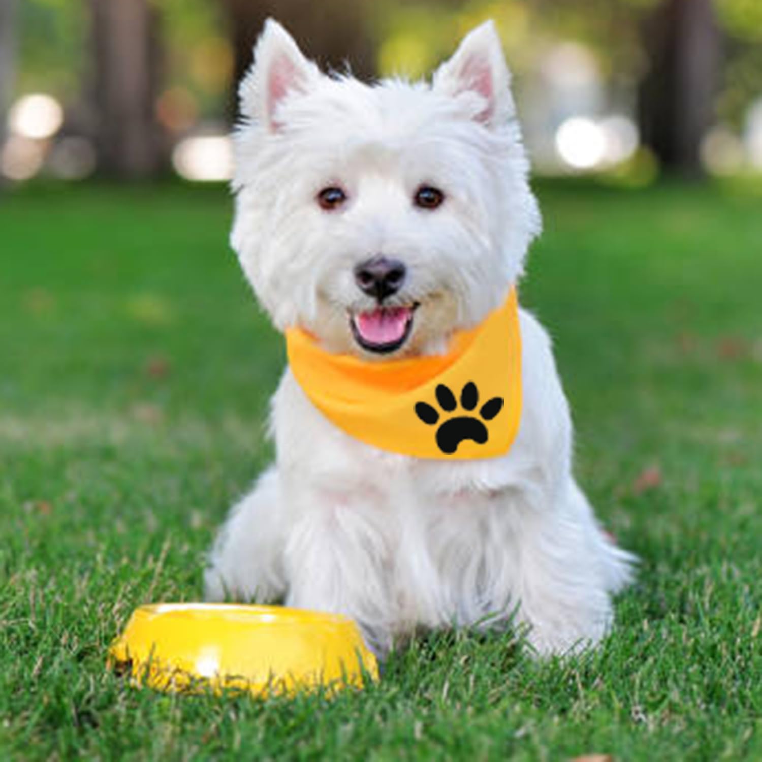 Custom Pet Bibs