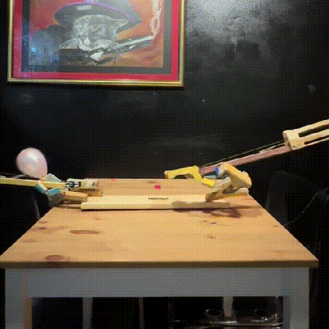 Ultimate Balloon Popping Duel