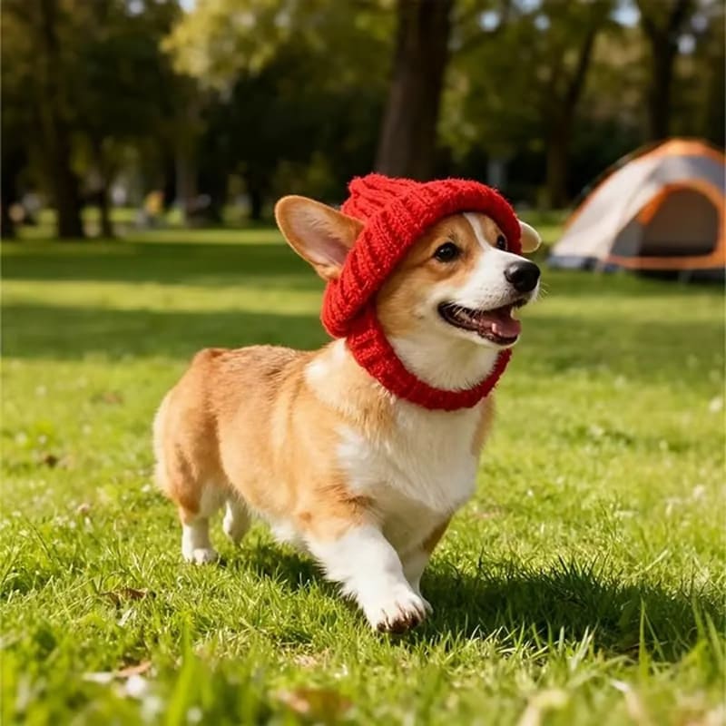 🔥Last Day: BUY 2 GET 1 FREE - 🐾Red Wool Knit Dog Beanie with Ear Flaps – Warm Winter Hat