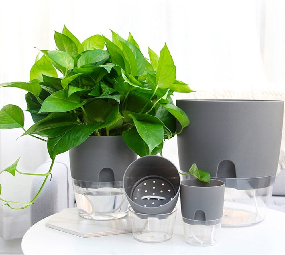 Self Watering Planter