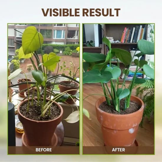 Soil Activator