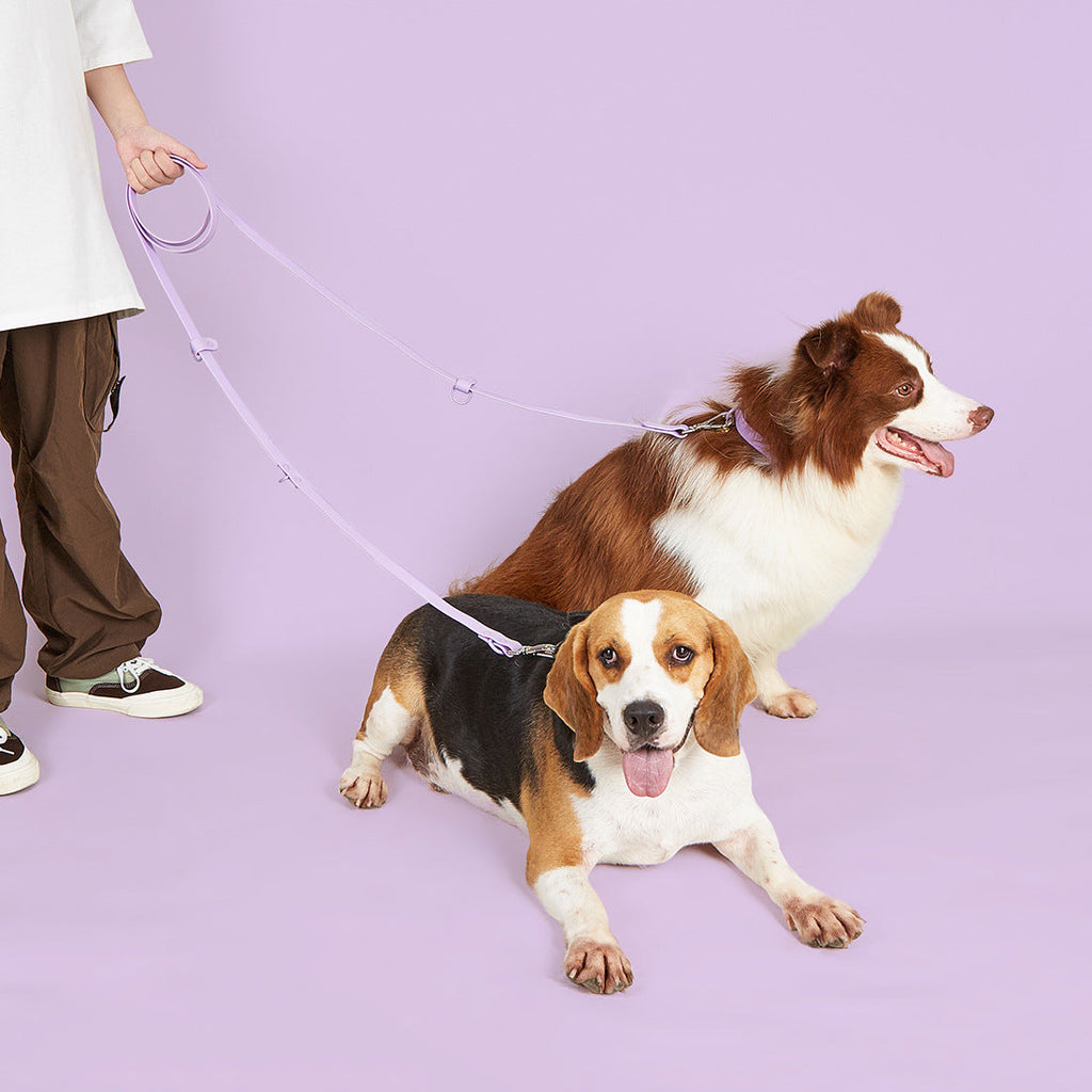 4-in-1 Convertible Hands-Free Dog Leash