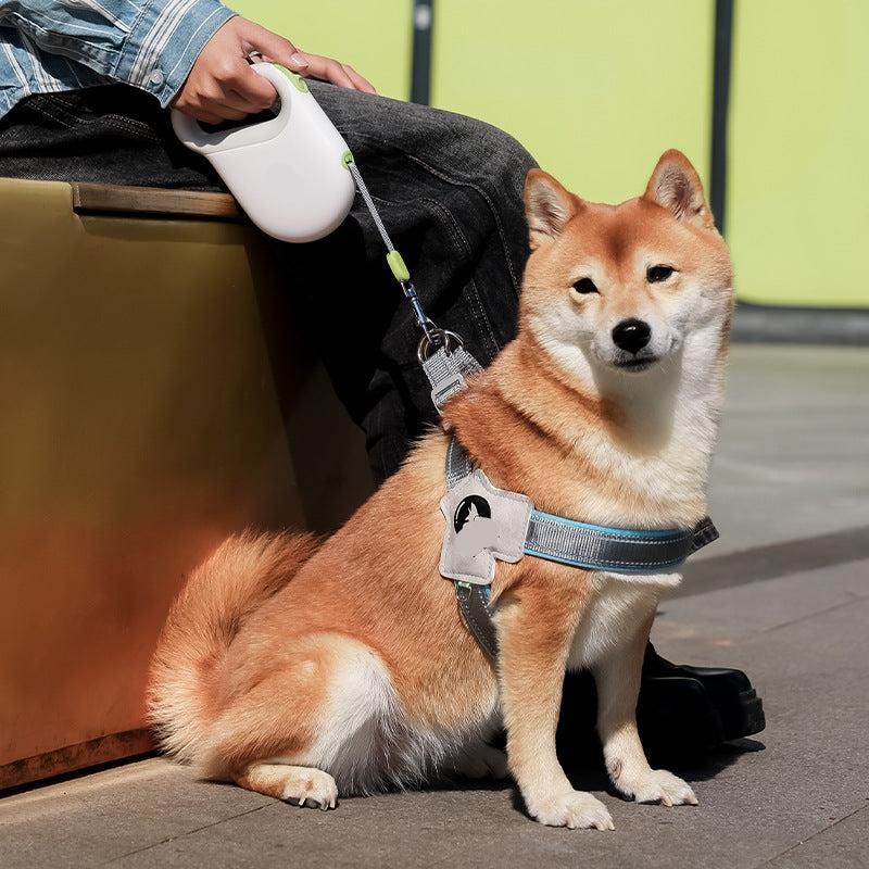 Retractable pet leash for safe dog walking
