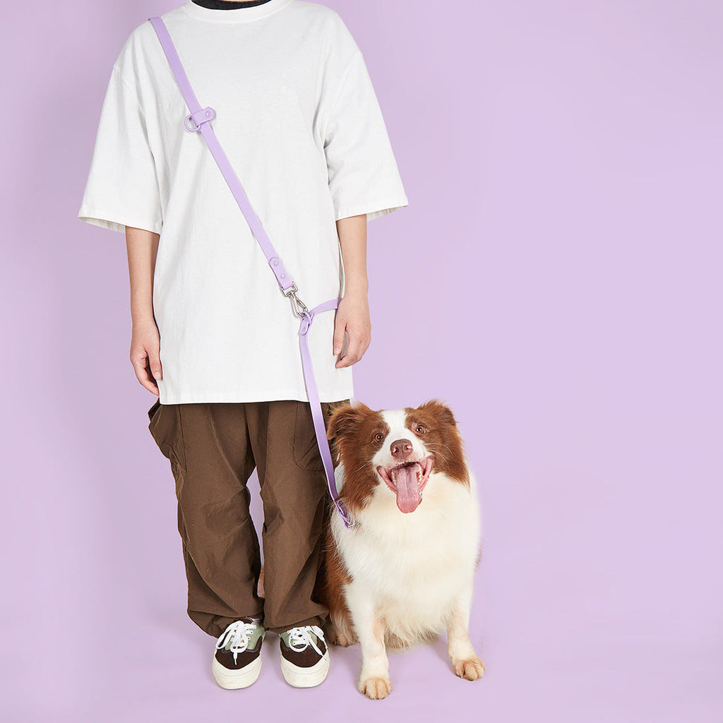 4-in-1 Convertible Hands-Free Dog Leash