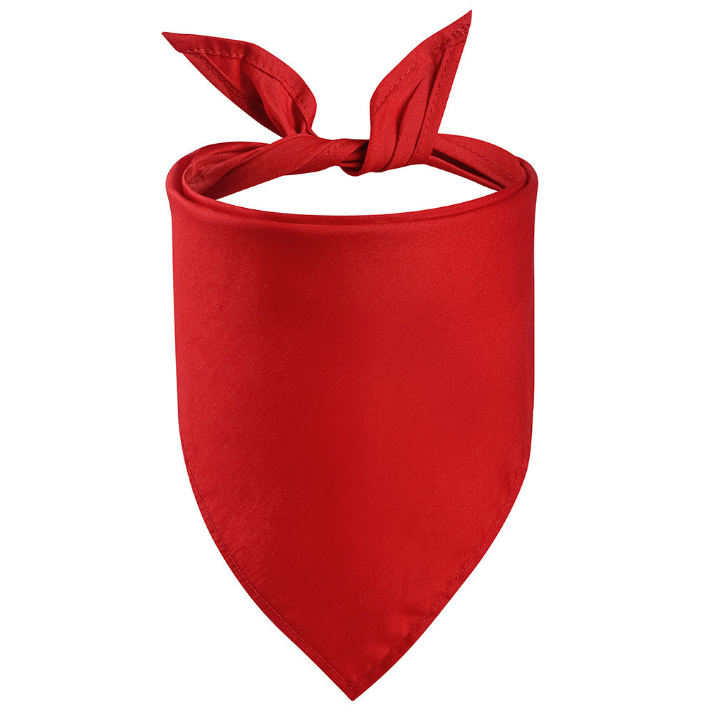 Custom Pet Bibs