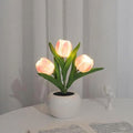 Tulip Nightlight