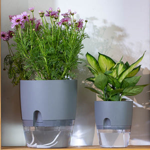 Self Watering Planter