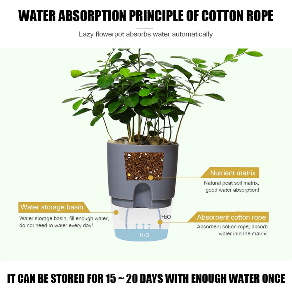 Self Watering Planter