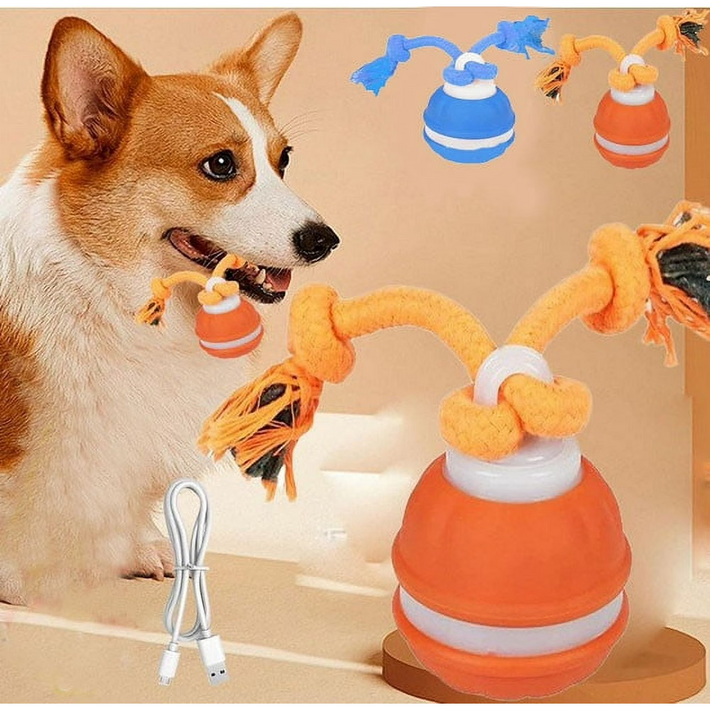 Interactive Smart Rolling Pet Ball