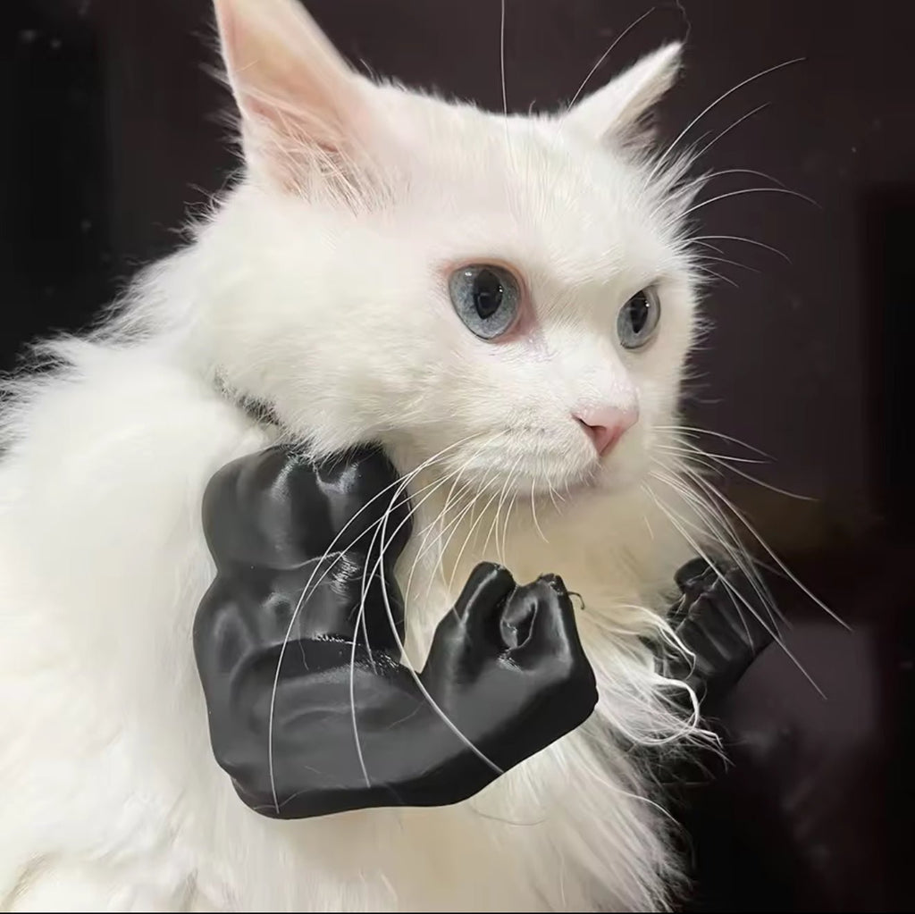3D Printed Pet Muscle Arm Toy