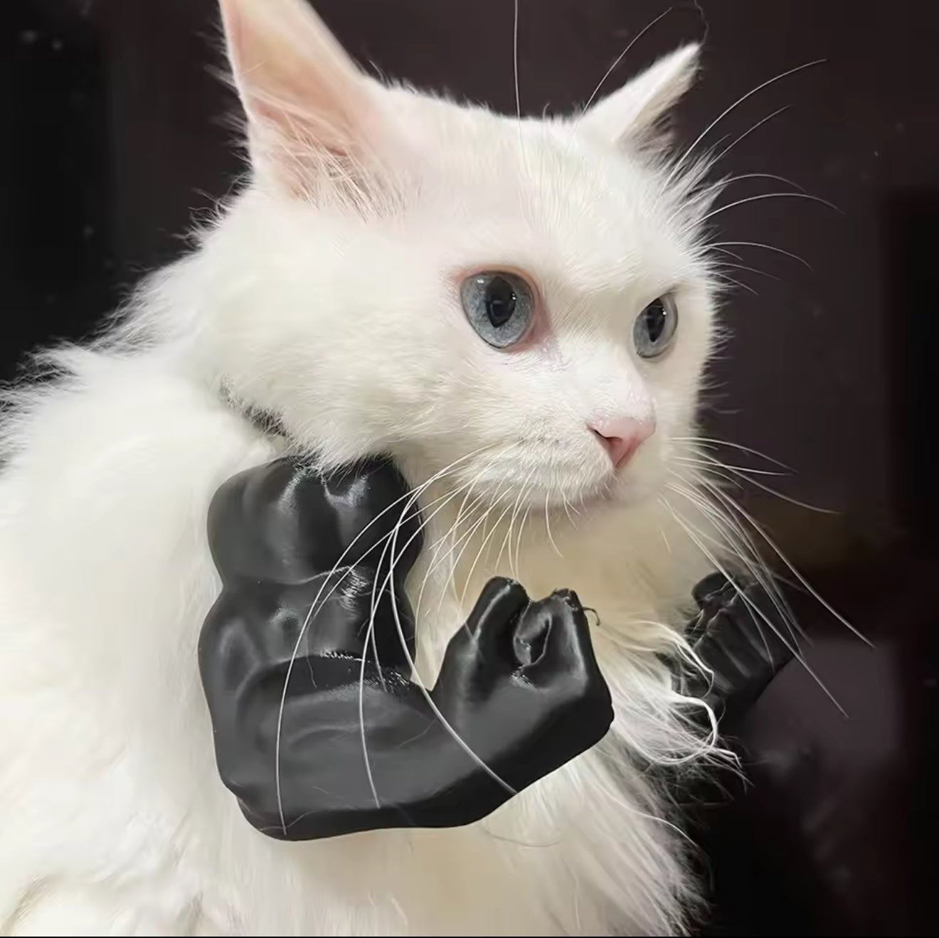 3D Printed Pet Muscle Arm Toy